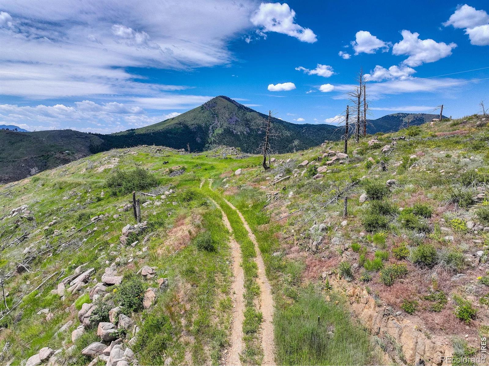 MLS Image #26 for 300  shining star trail,boulder, Colorado