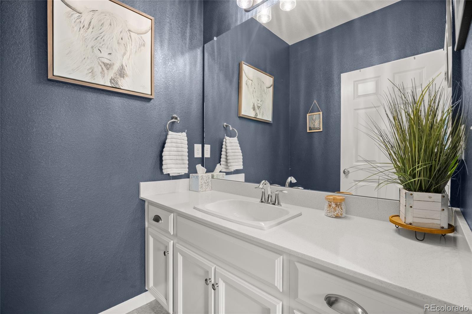 MLS Image #17 for 23839 e narrowleaf place,aurora, Colorado