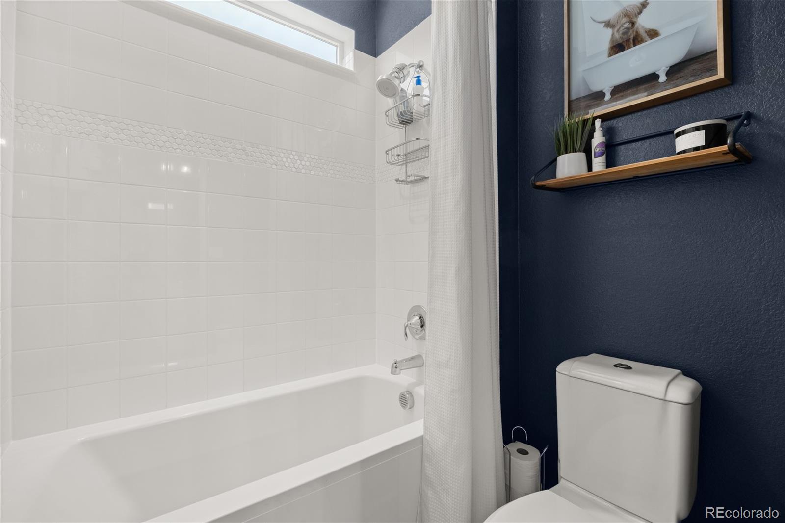 MLS Image #18 for 23839 e narrowleaf place,aurora, Colorado