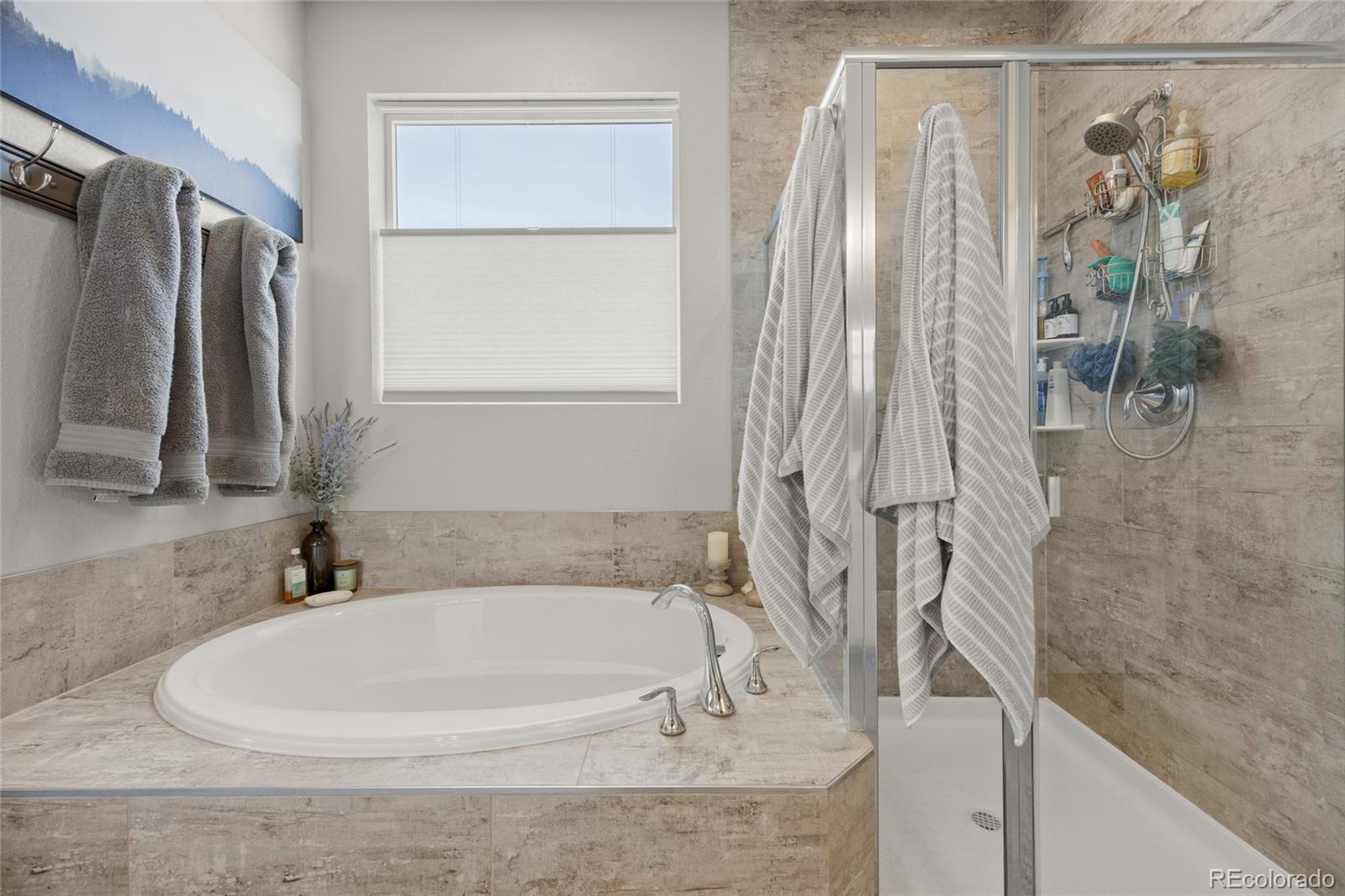 MLS Image #24 for 23839 e narrowleaf place,aurora, Colorado