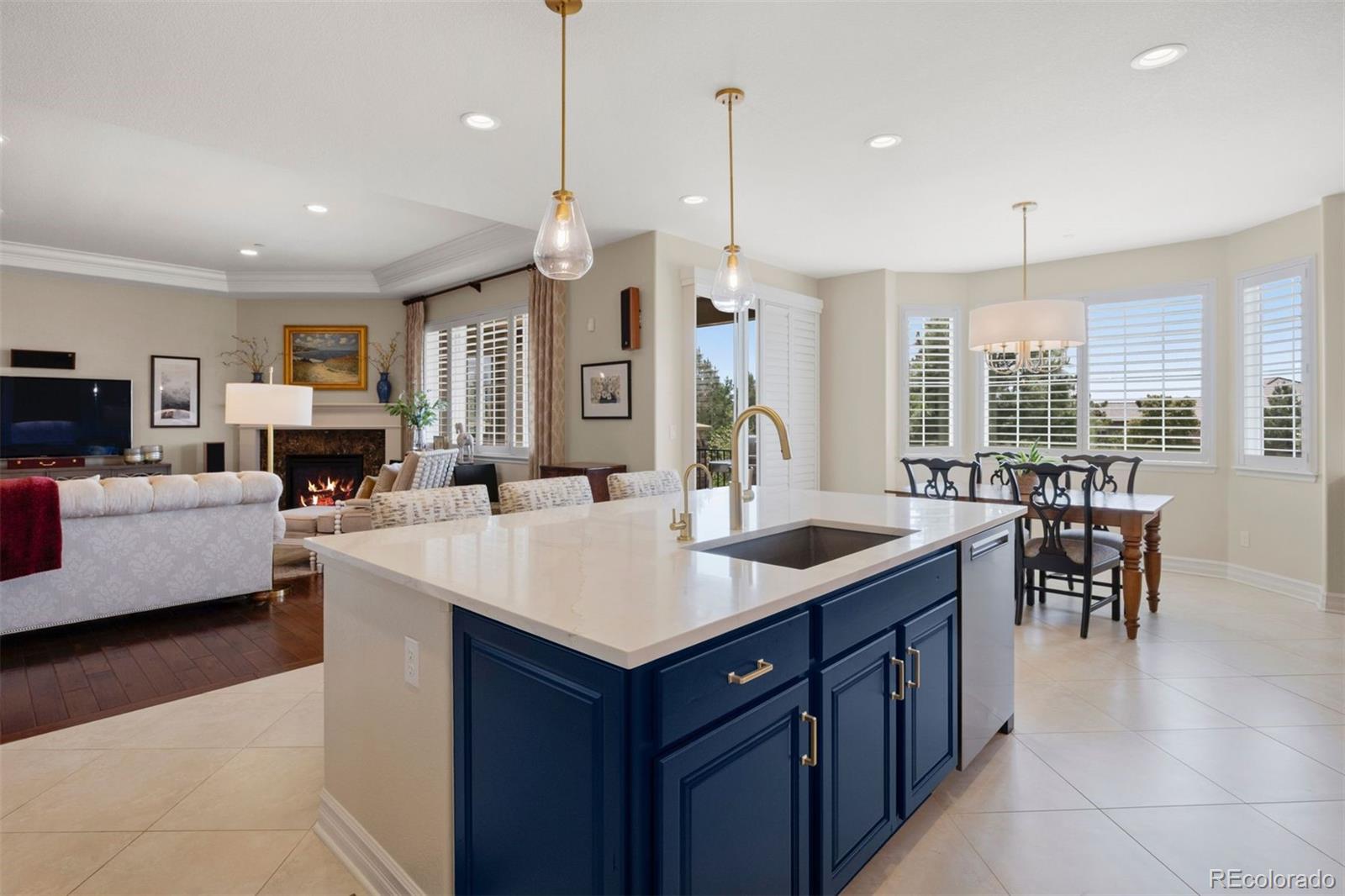 MLS Image #15 for 5138  le duc drive,castle rock, Colorado