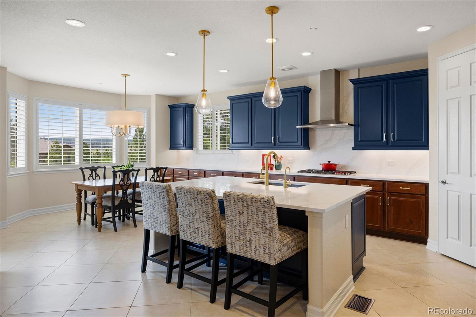 MLS Image #16 for 5138  le duc drive,castle rock, Colorado