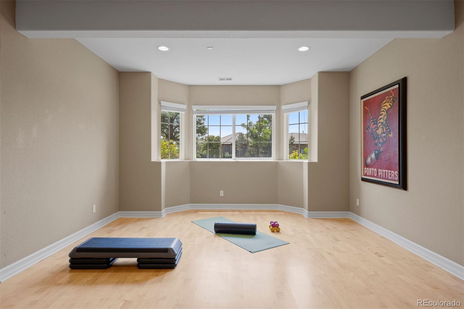 MLS Image #36 for 5138  le duc drive,castle rock, Colorado