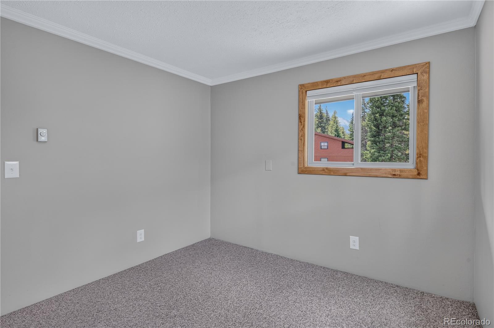 MLS Image #14 for 214  mountain view trail,breckenridge, Colorado