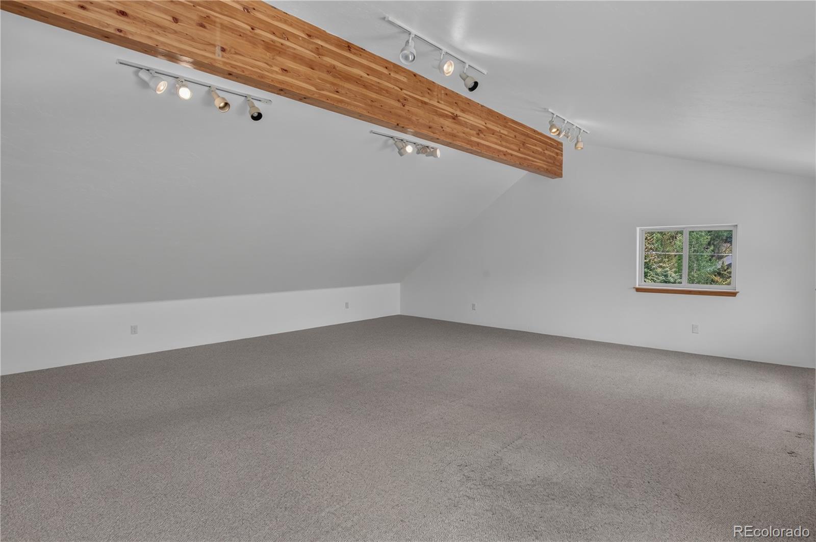 MLS Image #20 for 214  mountain view trail,breckenridge, Colorado