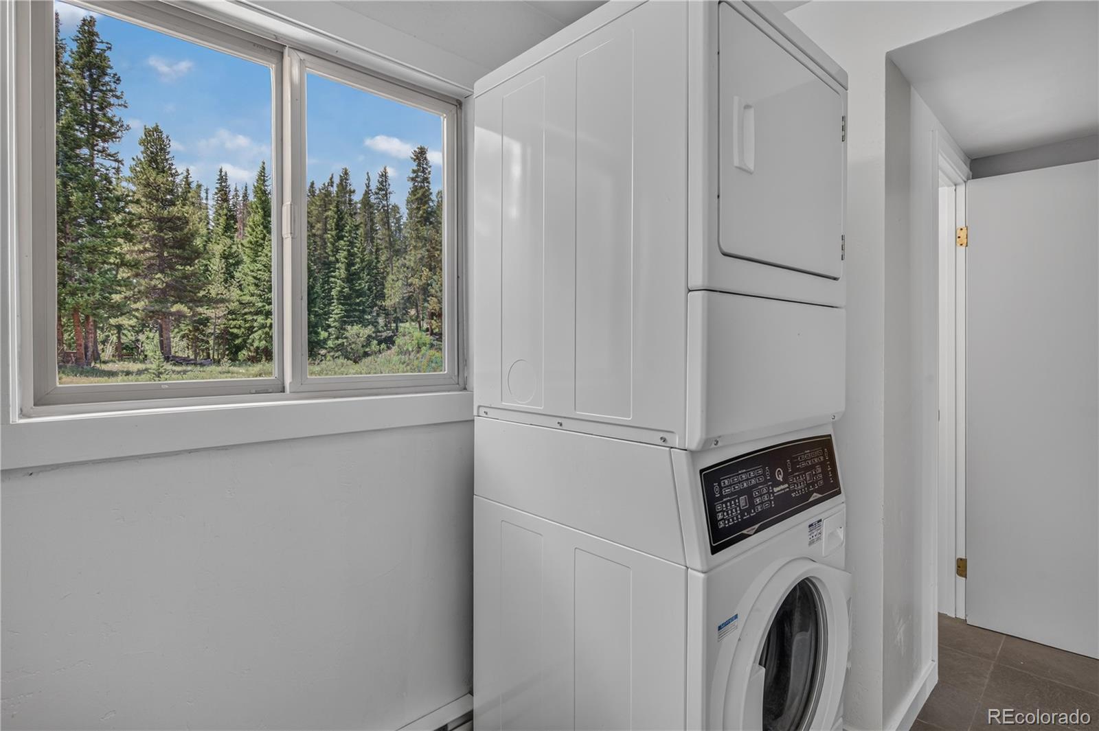 MLS Image #21 for 214  mountain view trail,breckenridge, Colorado