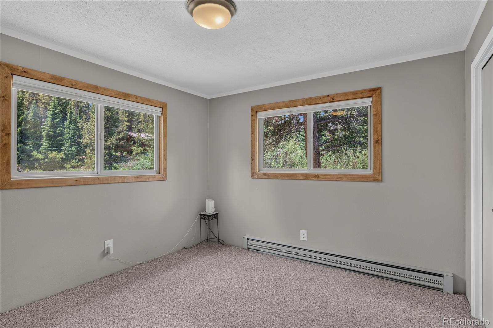 MLS Image #33 for 214  mountain view trail,breckenridge, Colorado
