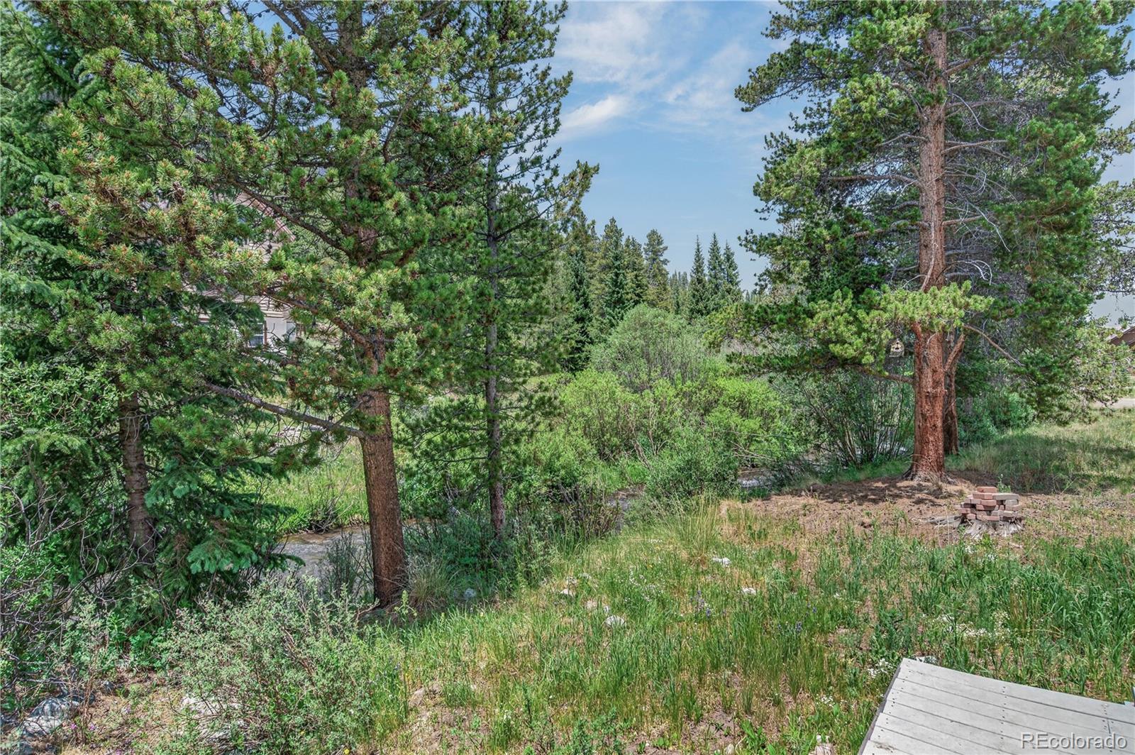 MLS Image #4 for 214  mountain view trail,breckenridge, Colorado