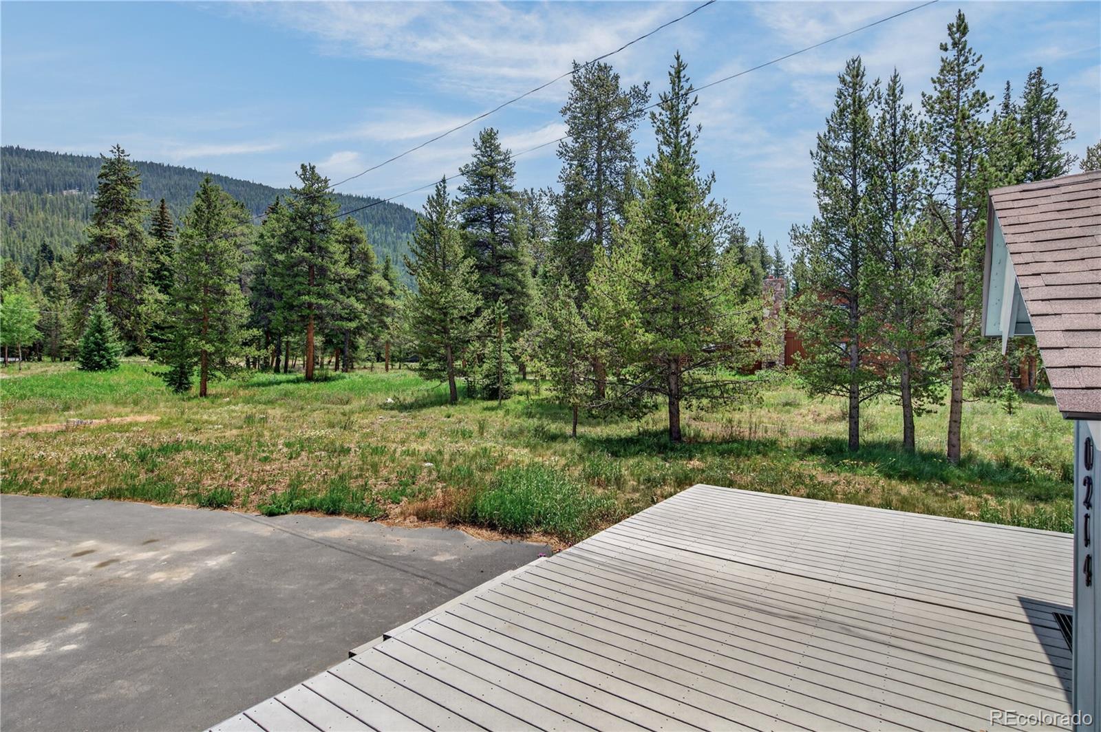 MLS Image #7 for 214  mountain view trail,breckenridge, Colorado