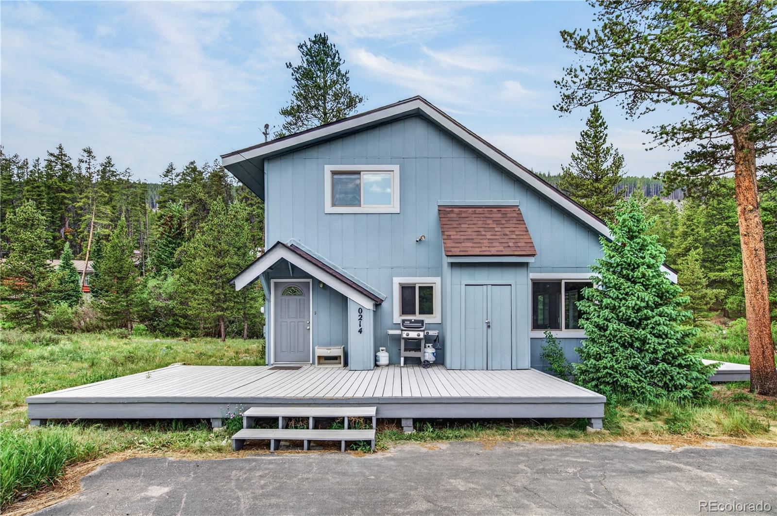 MLS Image #8 for 214  mountain view trail,breckenridge, Colorado