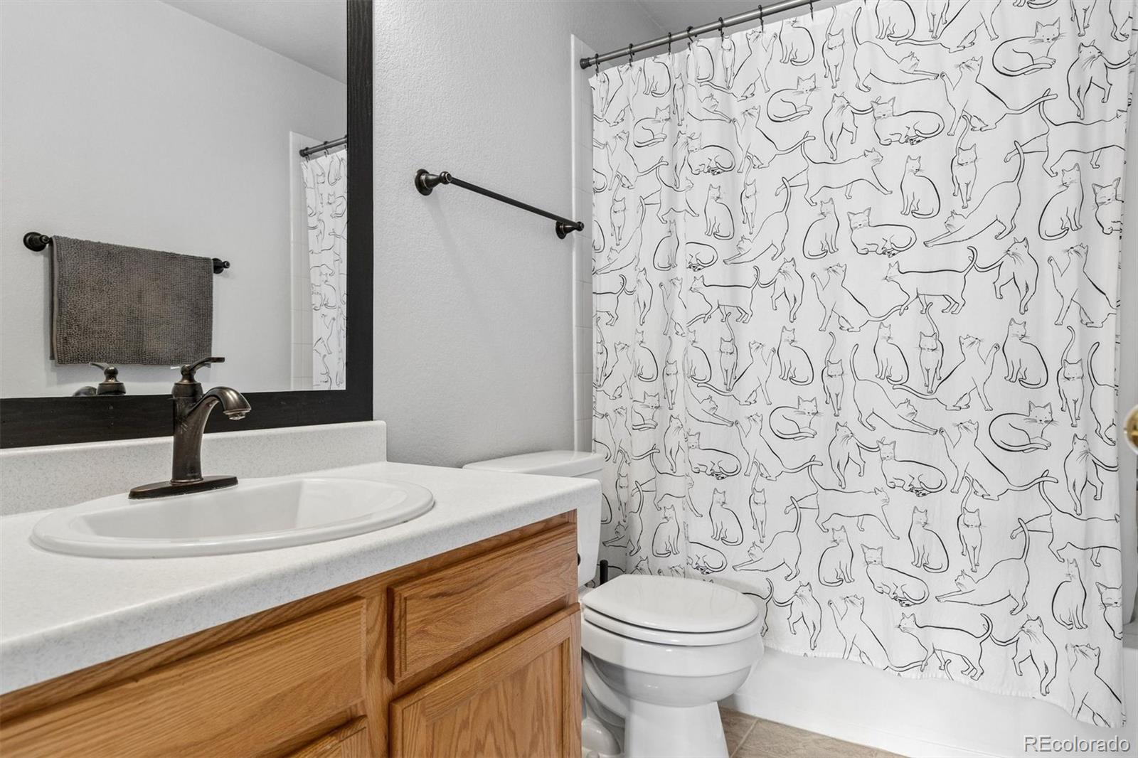 MLS Image #18 for 9685  deerhorn court,parker, Colorado