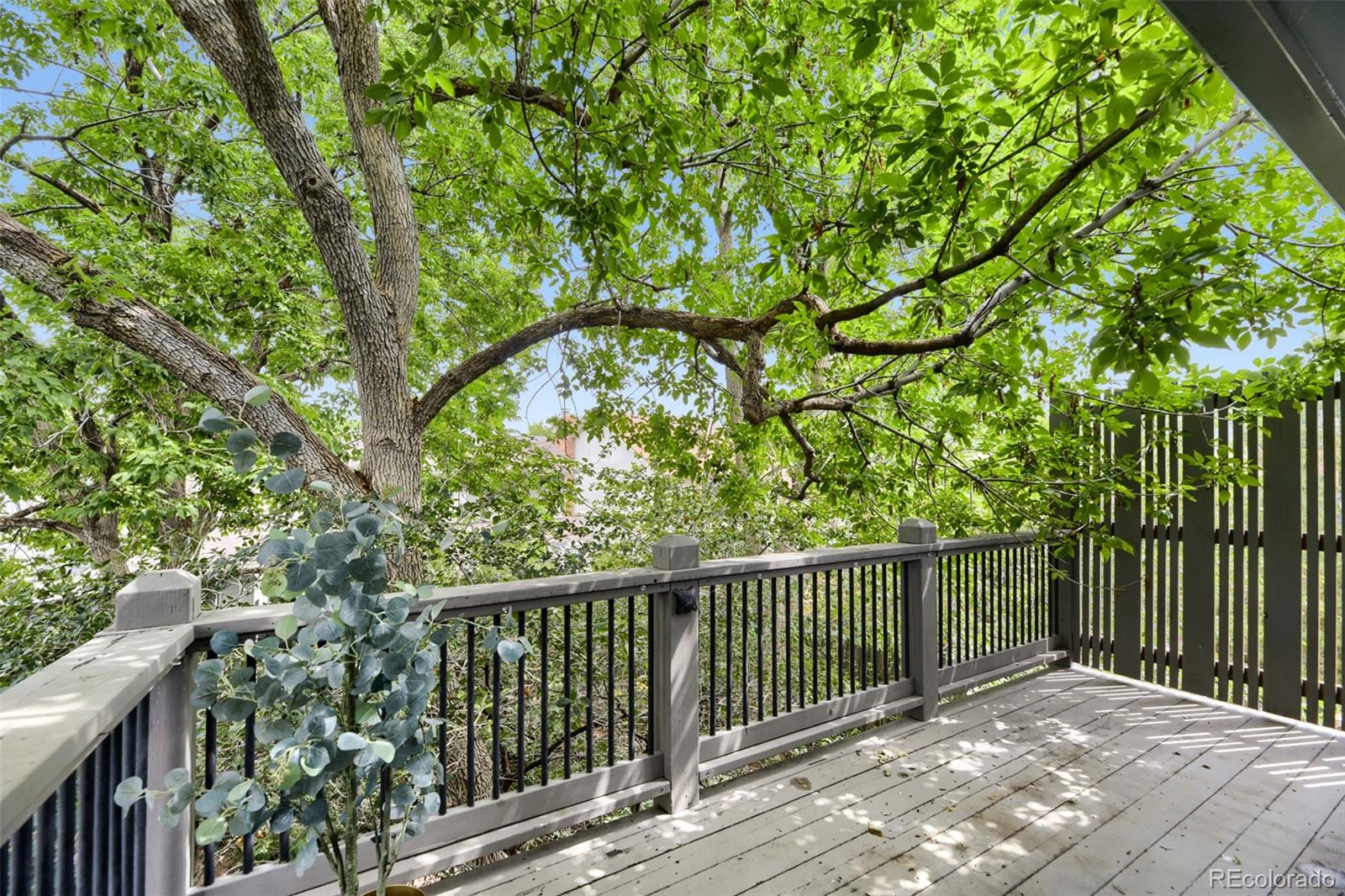 MLS Image #21 for 12687 e bates circle,aurora, Colorado