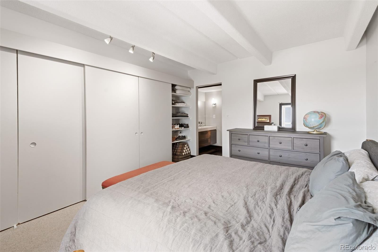 MLS Image #20 for 1255 n ogden street,denver, Colorado
