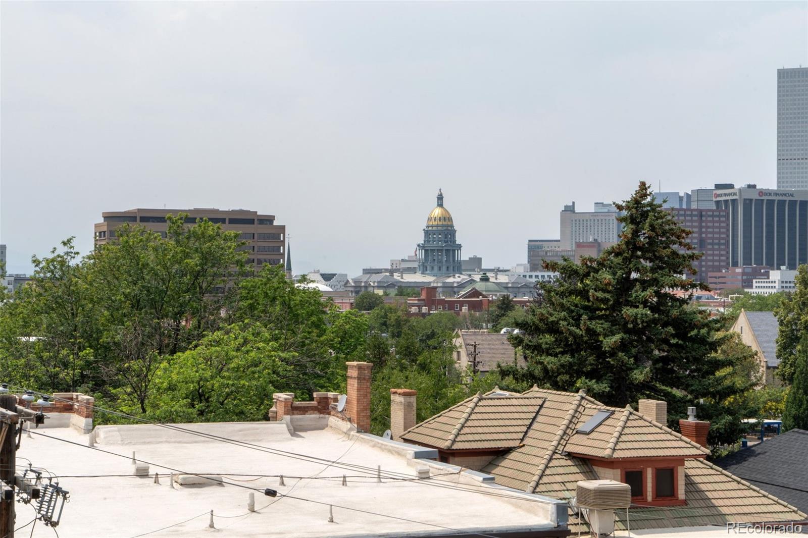 MLS Image #42 for 1255 n ogden street,denver, Colorado