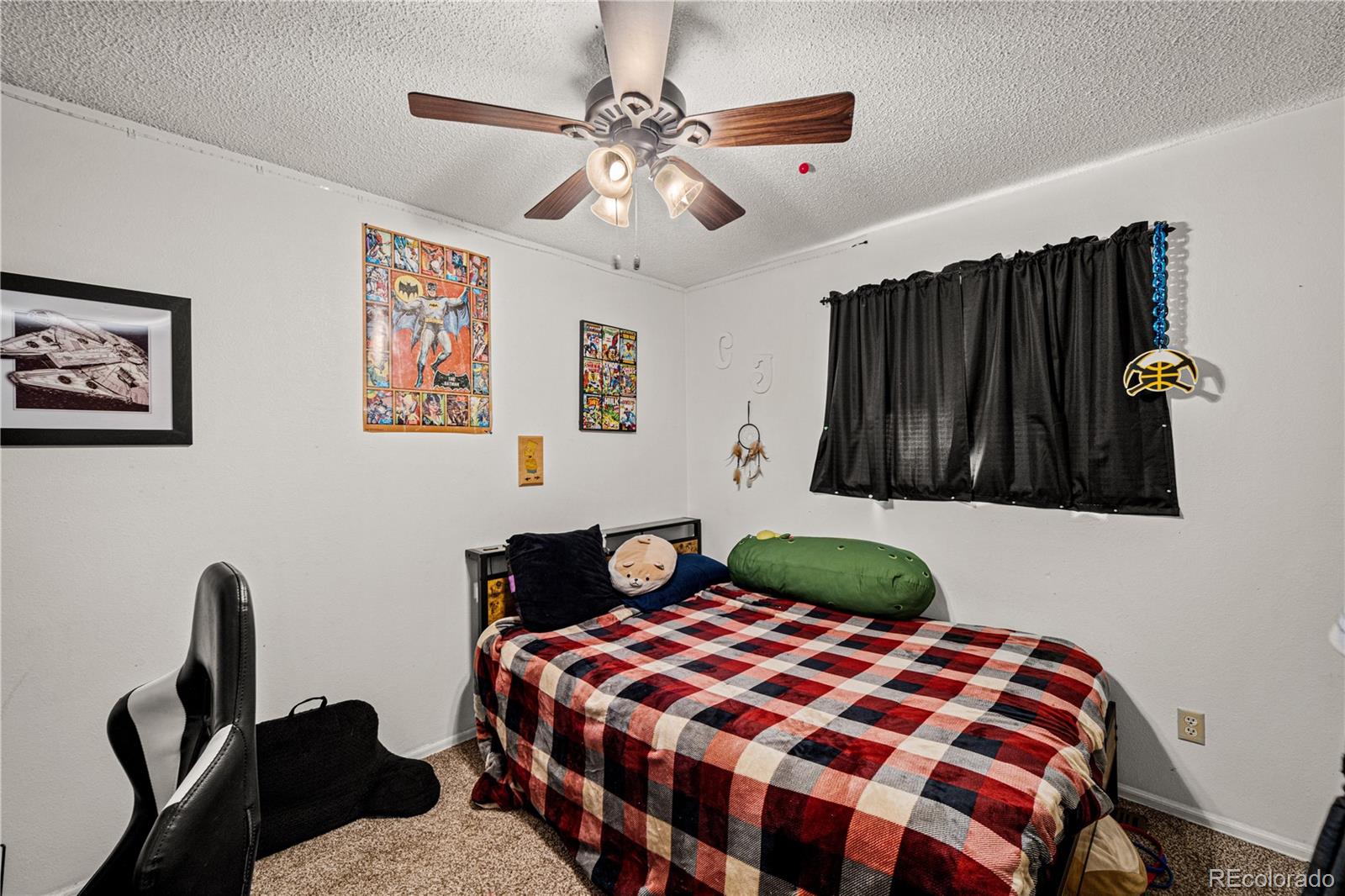 MLS Image #14 for 7  emperor court,pueblo, Colorado