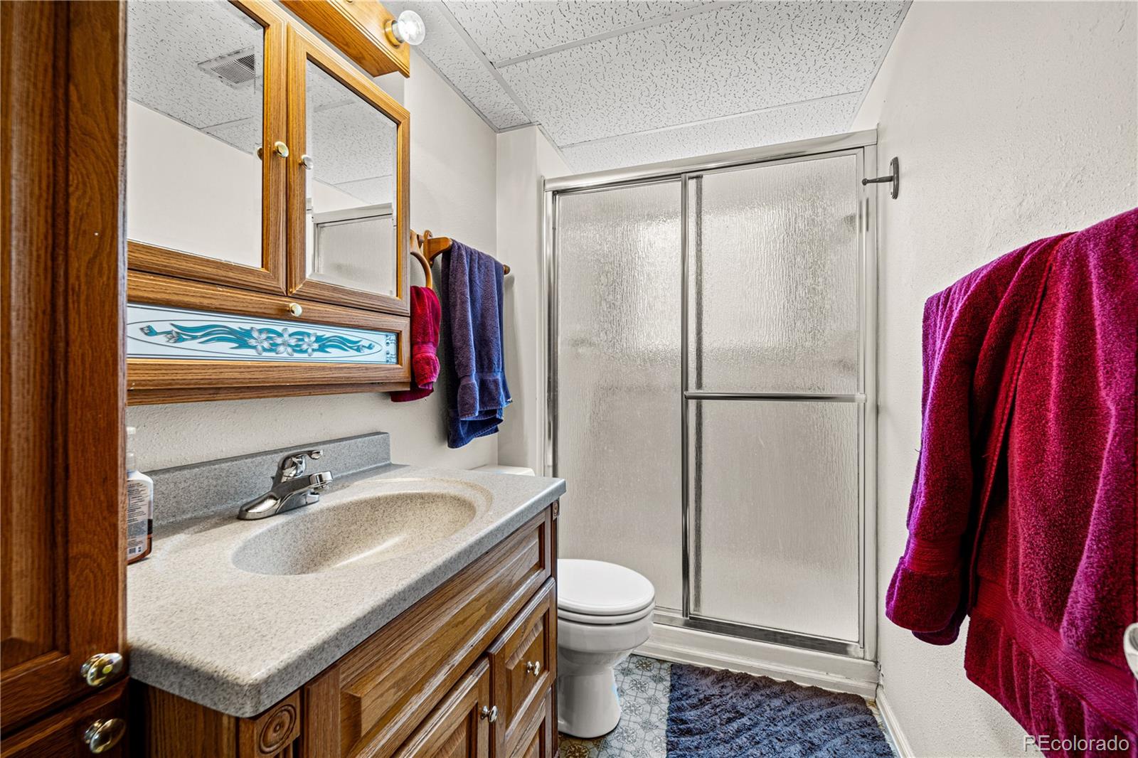 MLS Image #20 for 7  emperor court,pueblo, Colorado