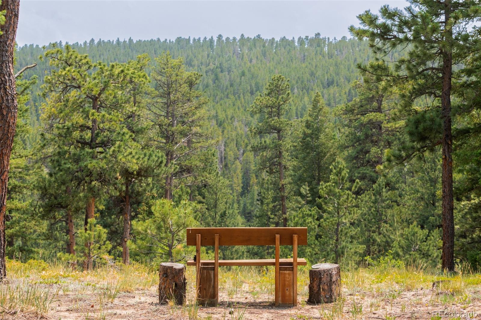 MLS Image #36 for 2001  county road 68 ,nederland, Colorado