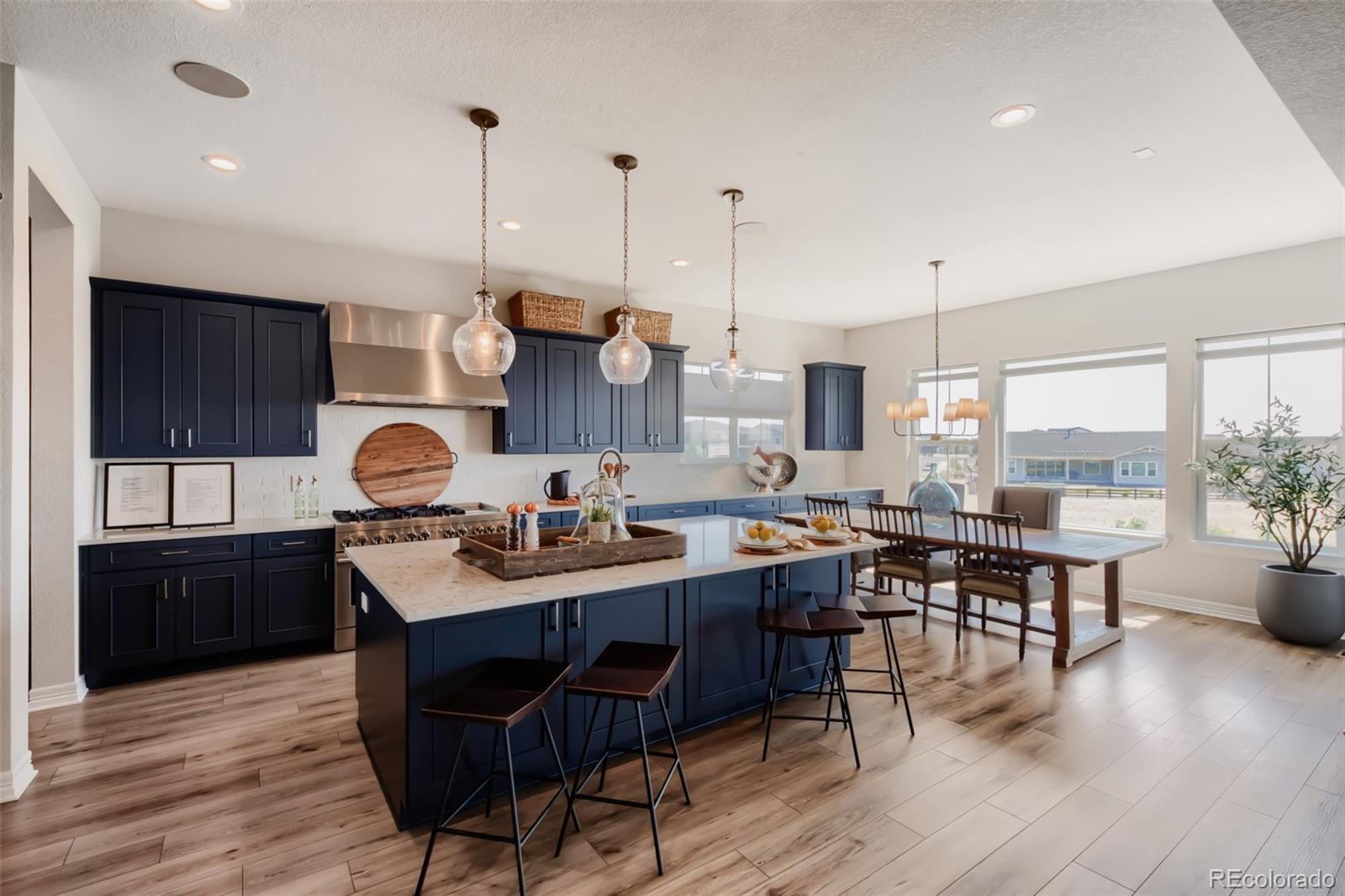 MLS Image #9 for 3574  tacklebox court,castle rock, Colorado