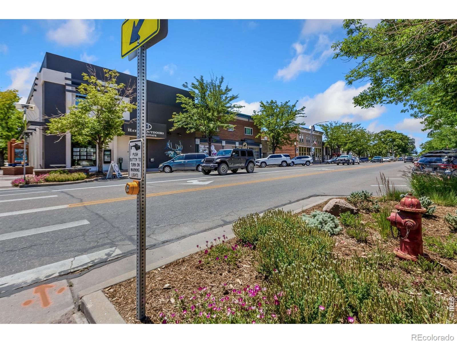 MLS Image #12 for 711  3rd street,windsor, Colorado