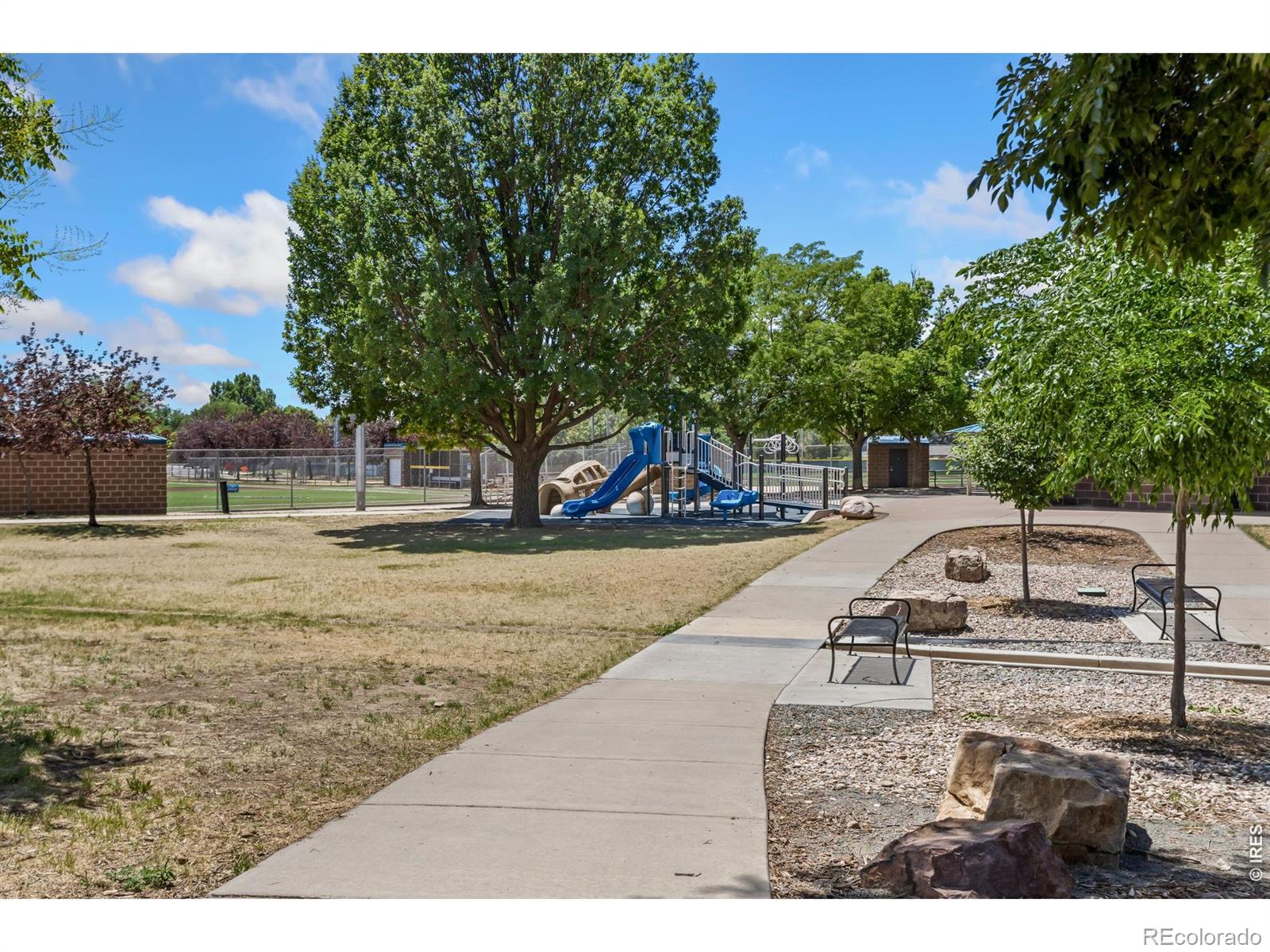 MLS Image #13 for 711  3rd street,windsor, Colorado