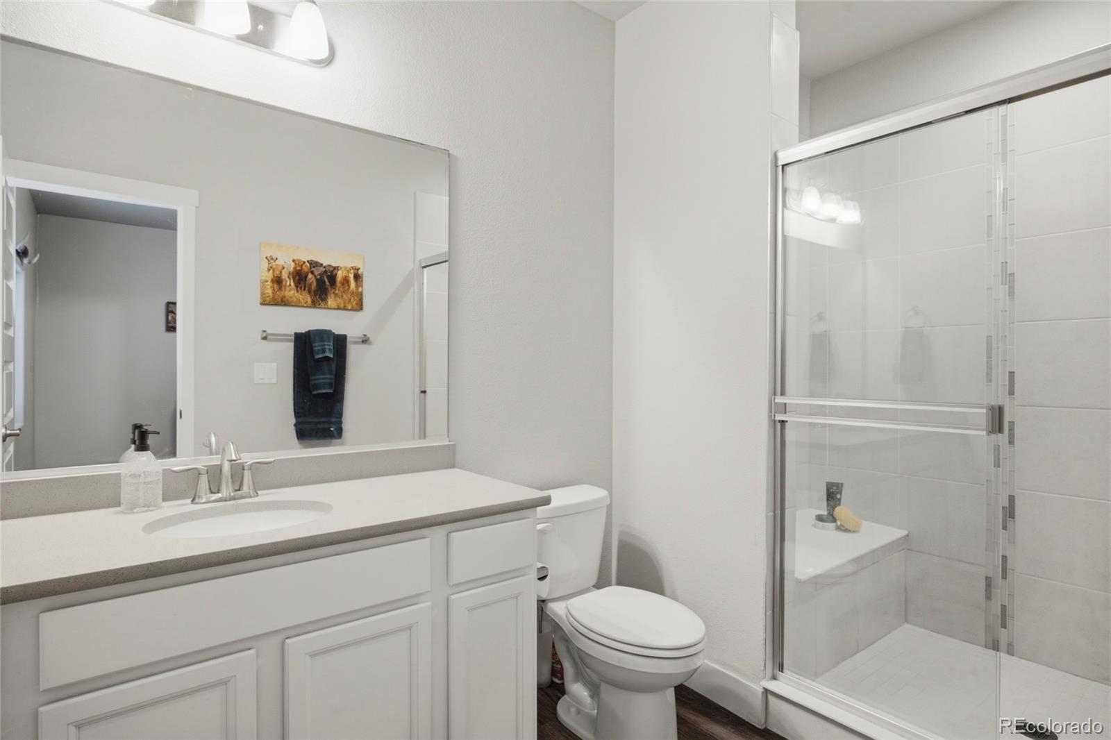 MLS Image #31 for 5032  hawtrey drive,windsor, Colorado