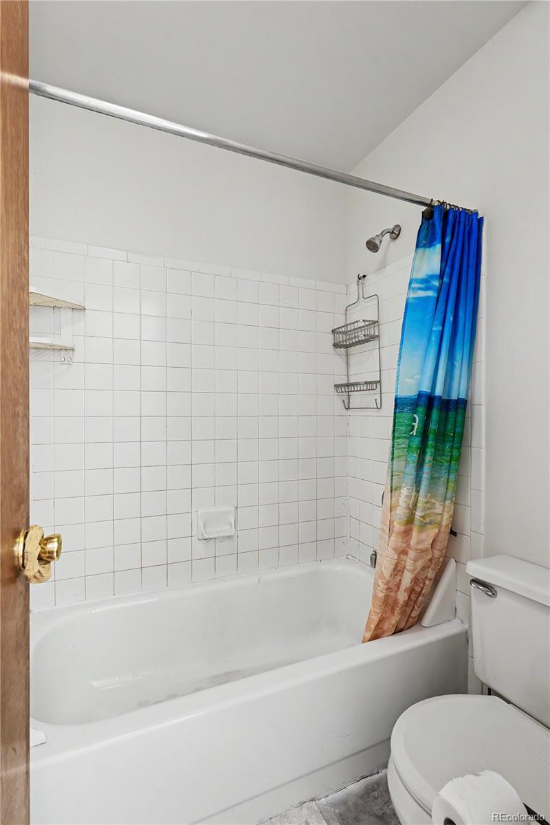 MLS Image #25 for 3843 w temple place,denver, Colorado