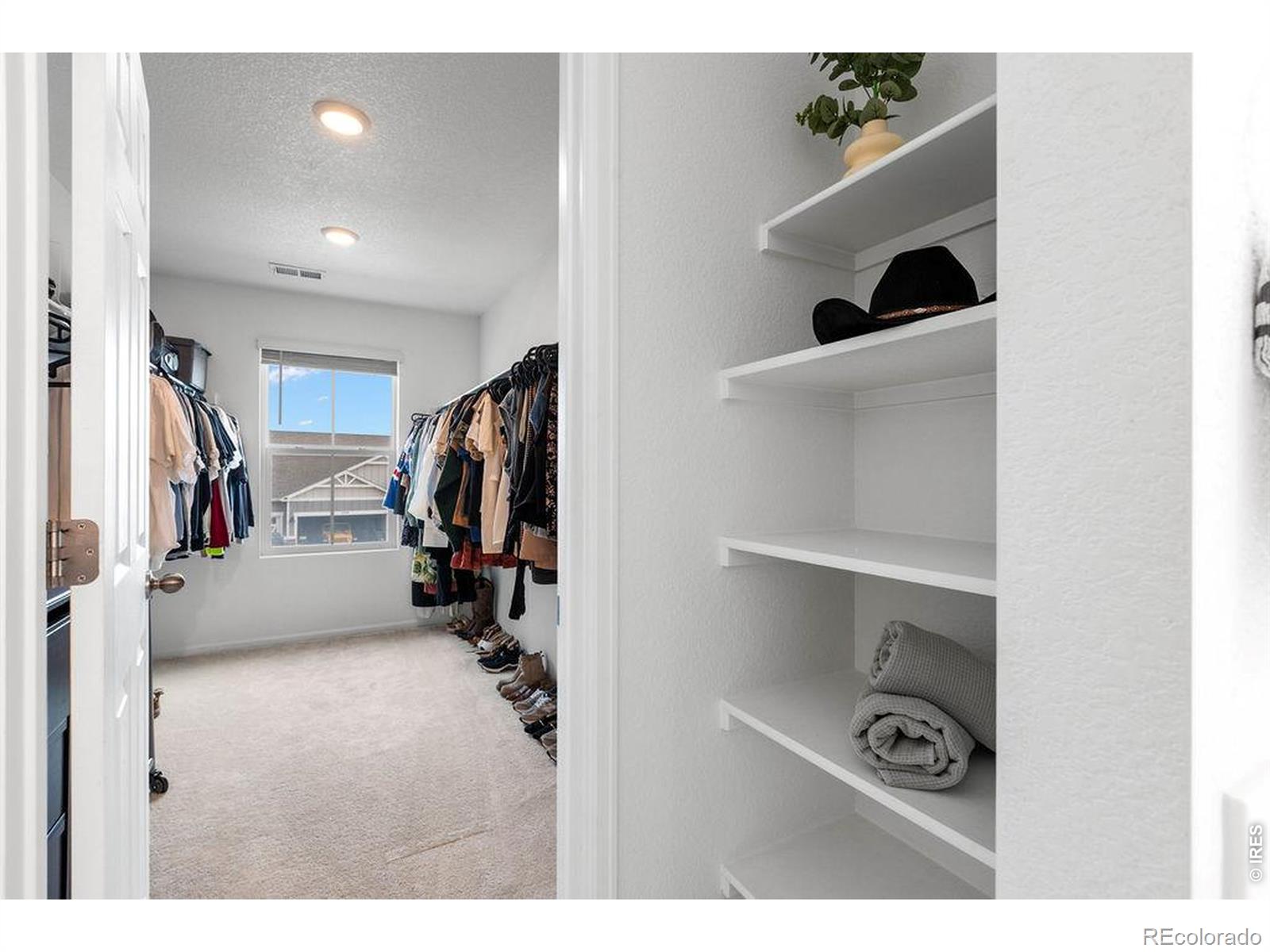MLS Image #24 for 1228  argali drive,severance, Colorado