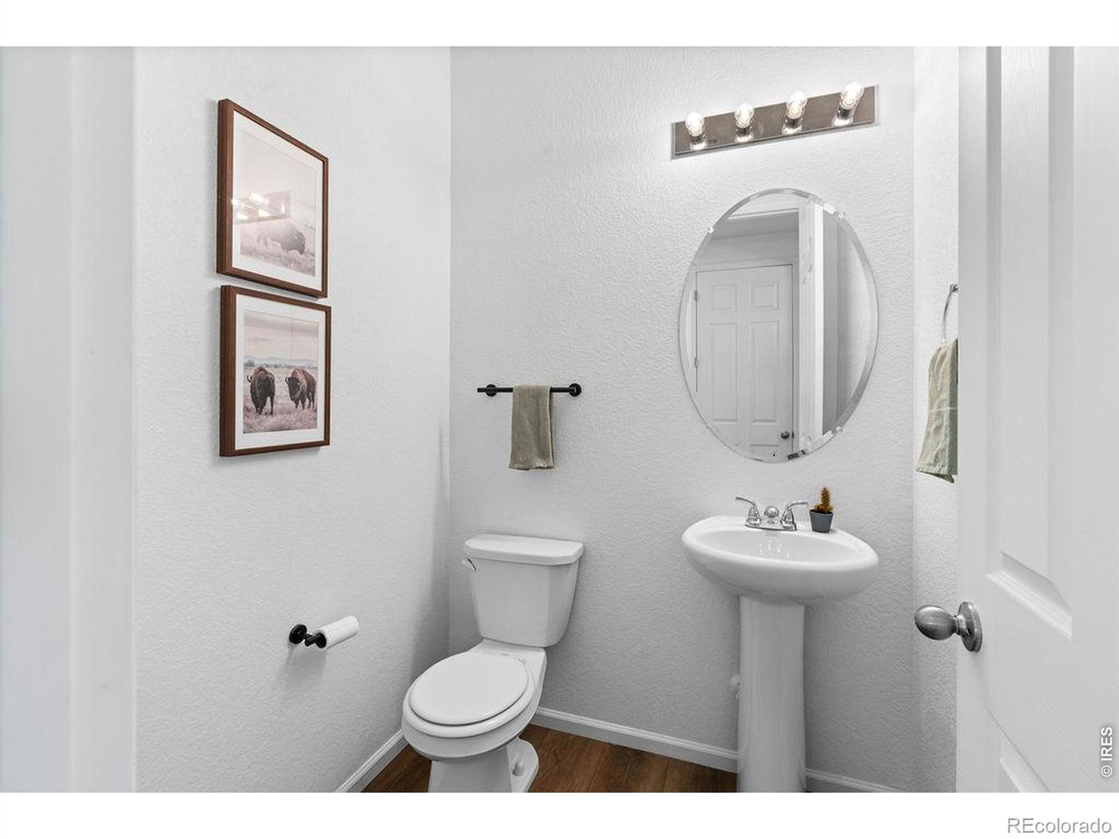 MLS Image #4 for 1228  argali drive,severance, Colorado