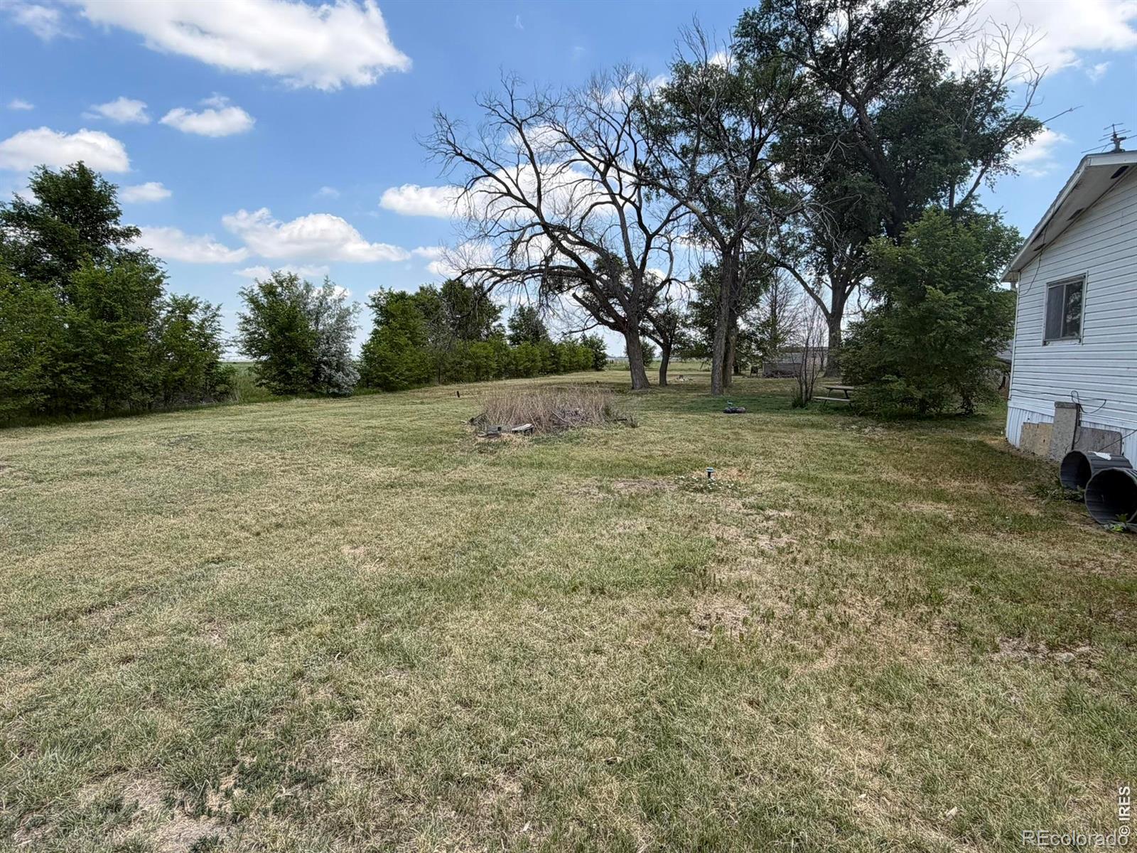 MLS Image #28 for 212 n 2nd street,iliff, Colorado