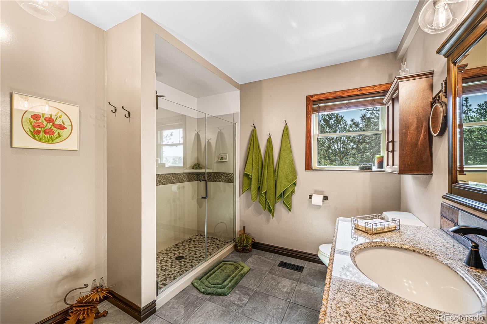 MLS Image #10 for 528  choctaw trail,westcliffe, Colorado