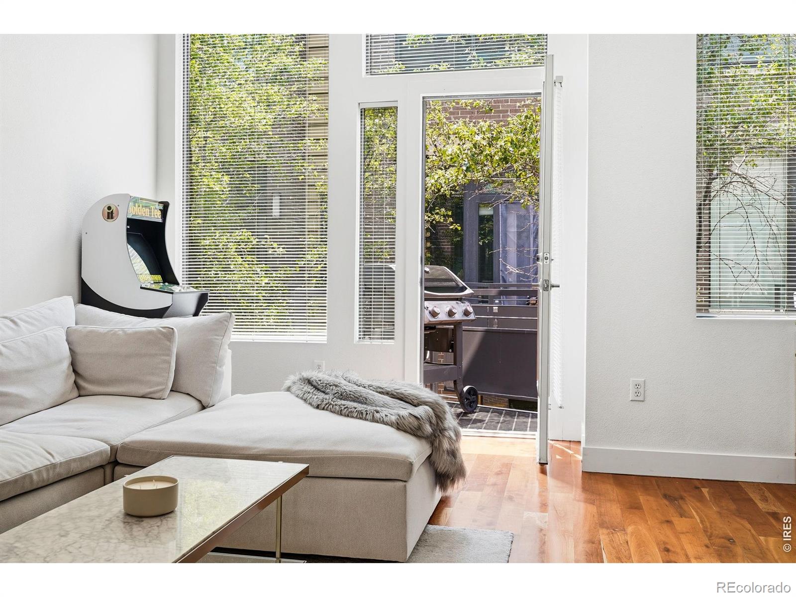 MLS Image #3 for 2900  inca street,denver, Colorado