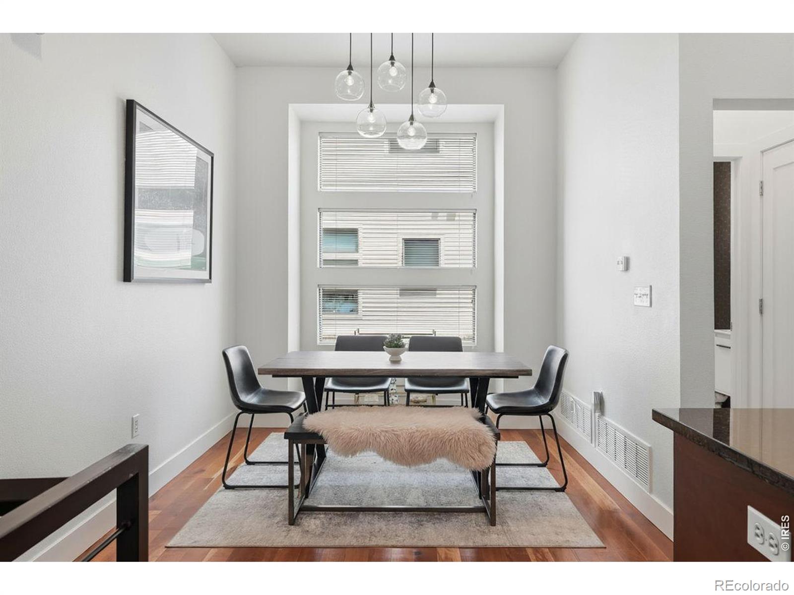 MLS Image #9 for 2900  inca street,denver, Colorado