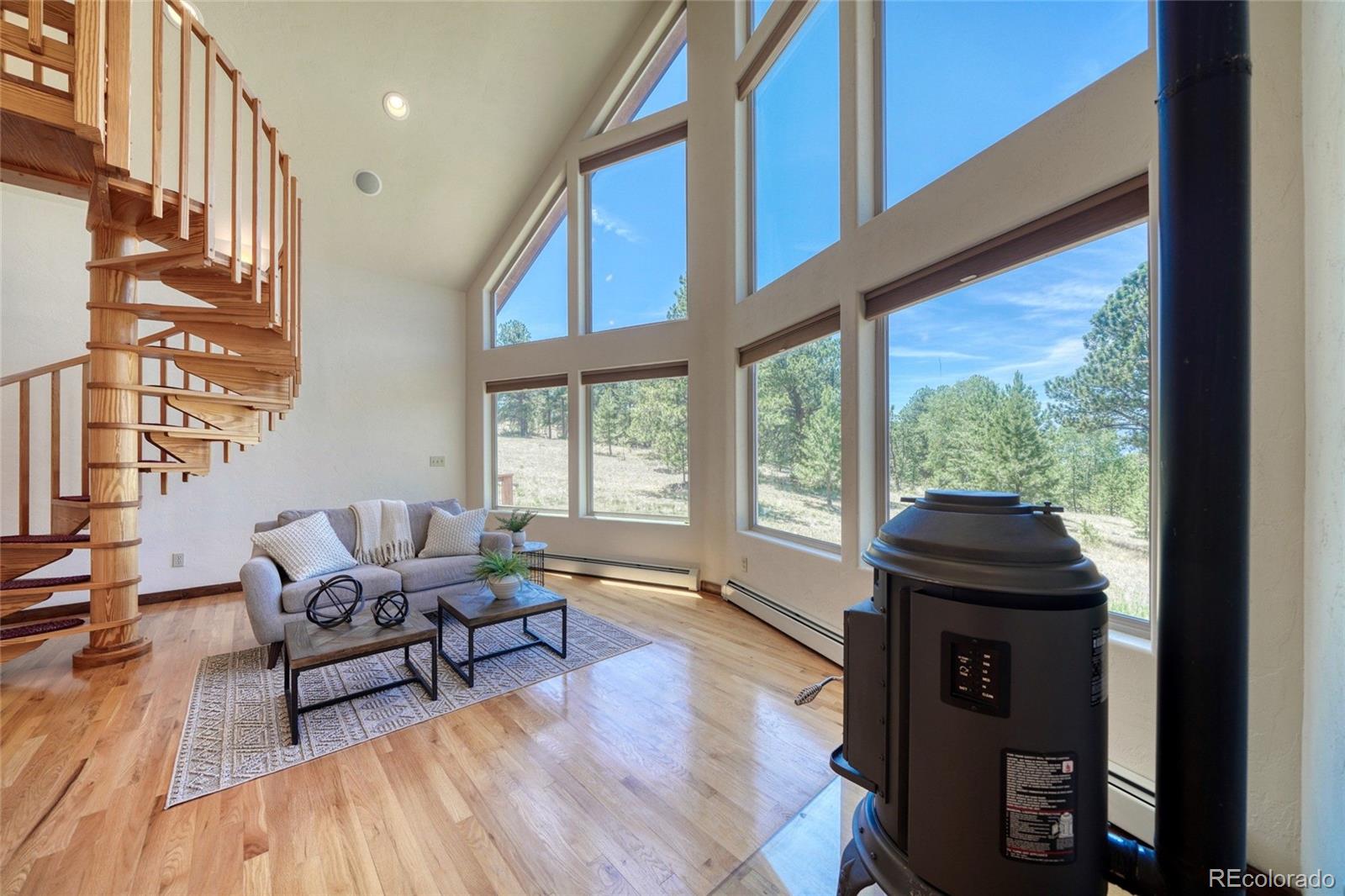 MLS Image #21 for 370  todd way,westcliffe, Colorado