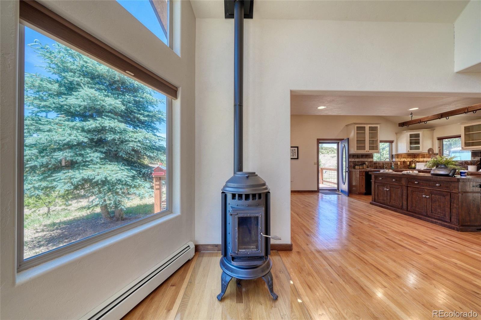 MLS Image #22 for 370  todd way,westcliffe, Colorado