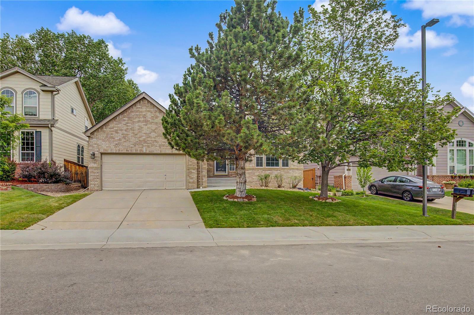 MLS Image #2 for 10267  amethyst way,parker, Colorado