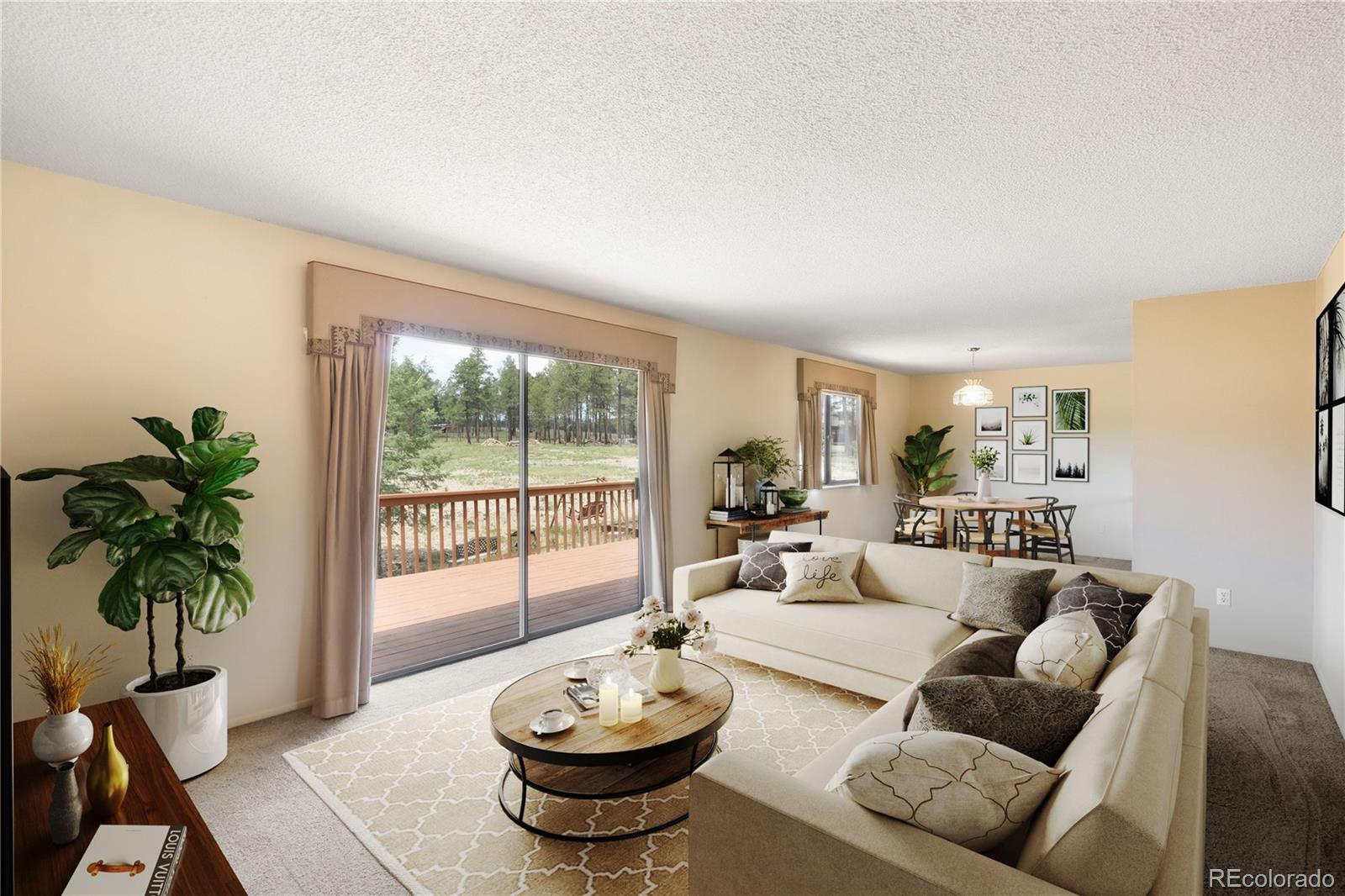 MLS Image #3 for 9650  hardin road,colorado springs, Colorado