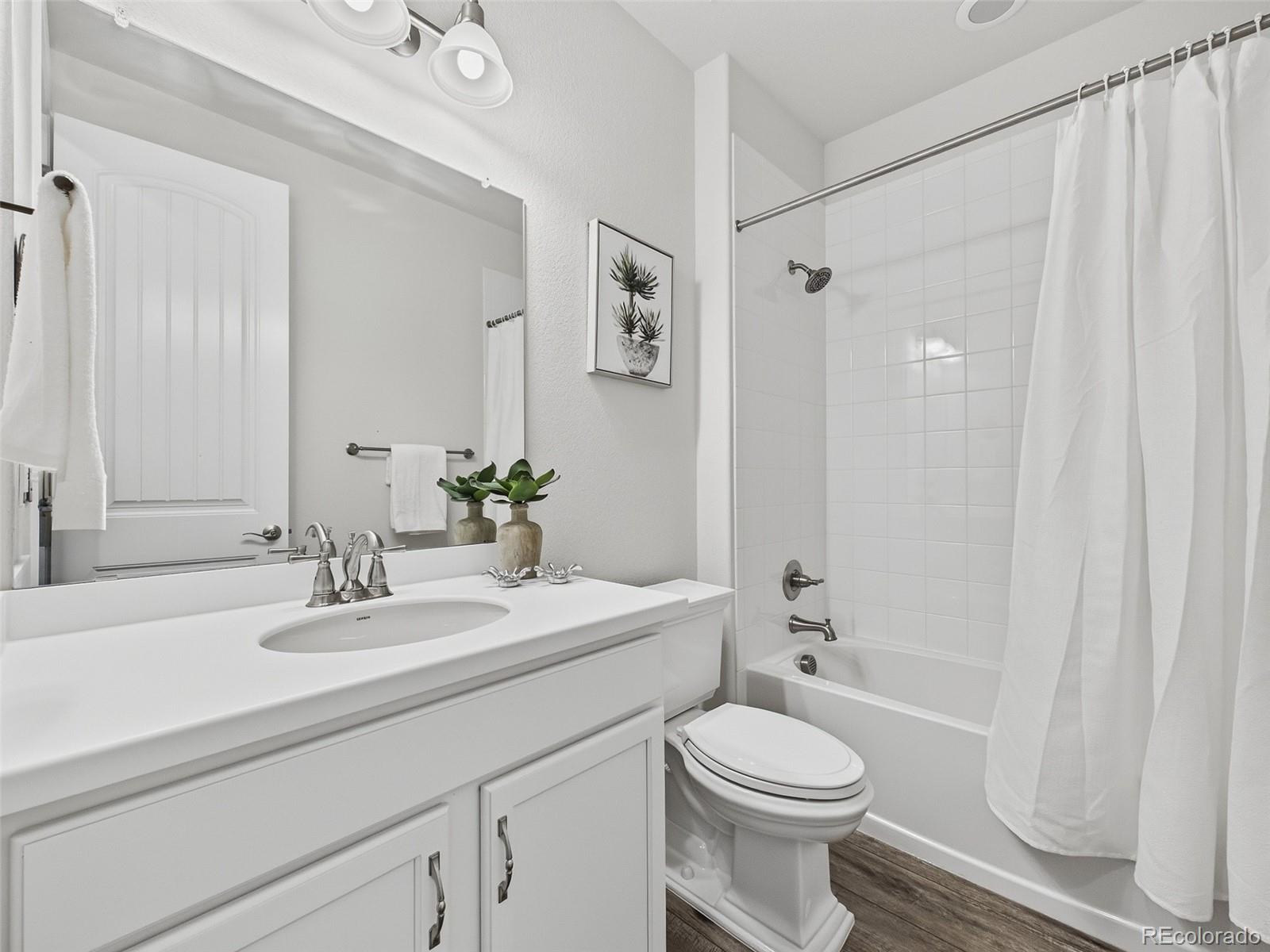 MLS Image #11 for 6142  leilani lane,castle rock, Colorado