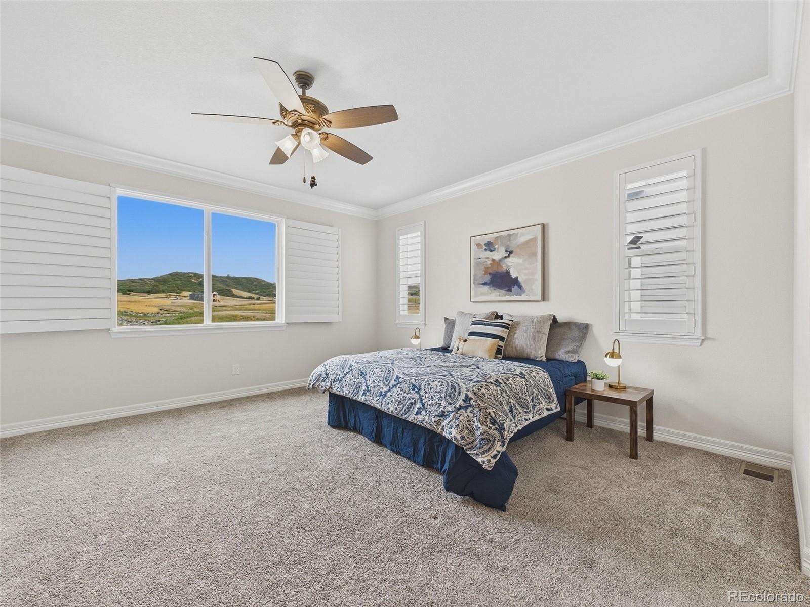 MLS Image #5 for 6142  leilani lane,castle rock, Colorado