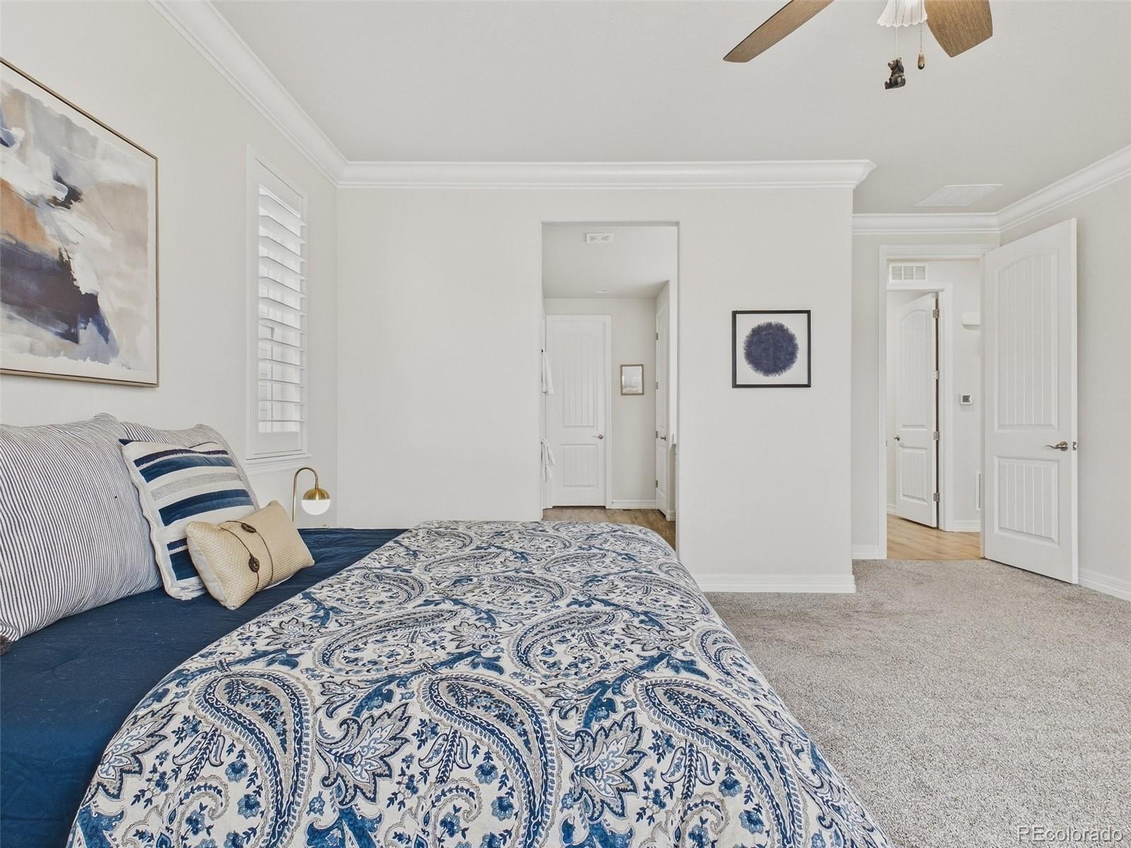 MLS Image #7 for 6142  leilani lane,castle rock, Colorado