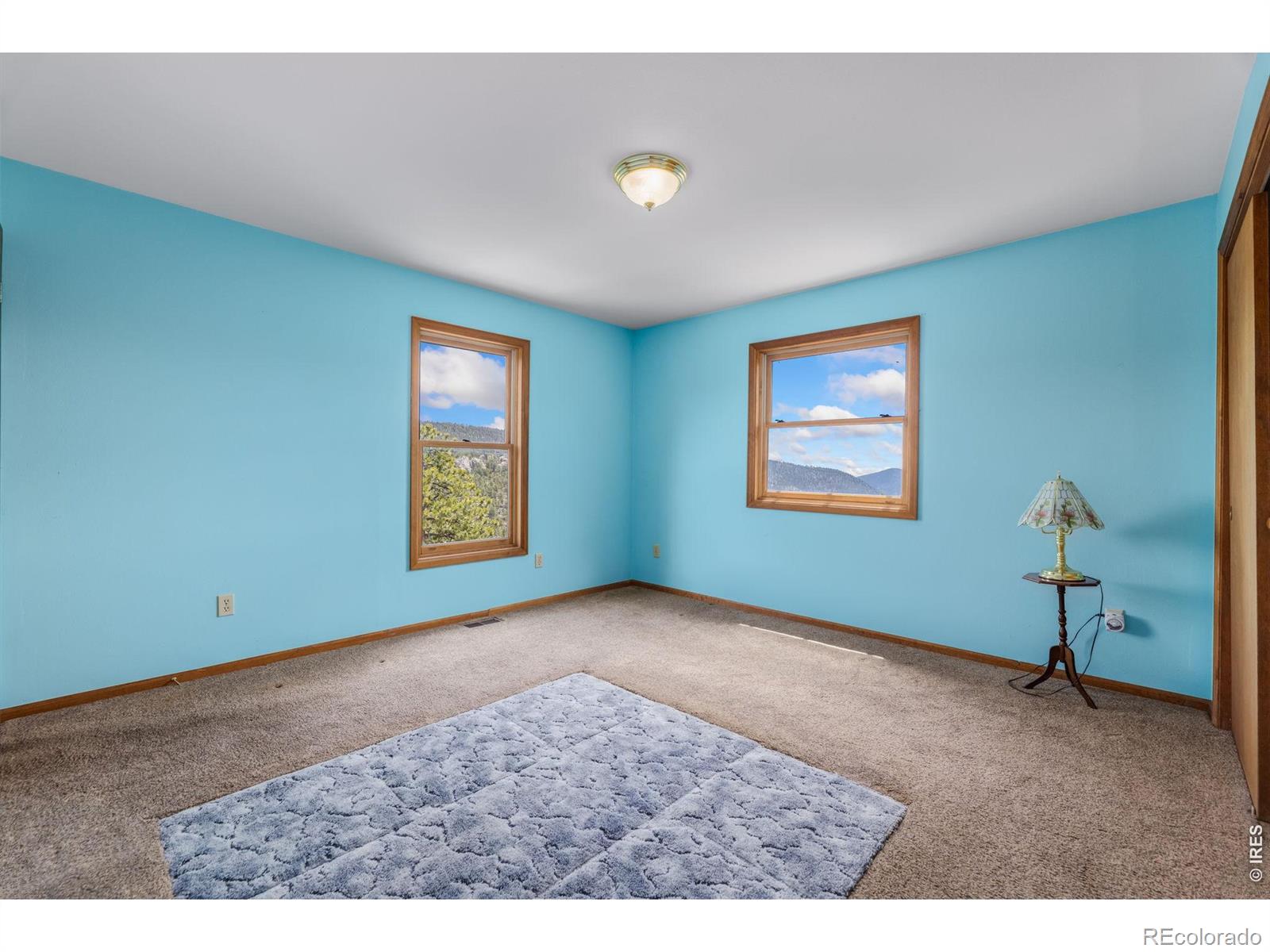 MLS Image #22 for 619  alpine drive,estes park, Colorado