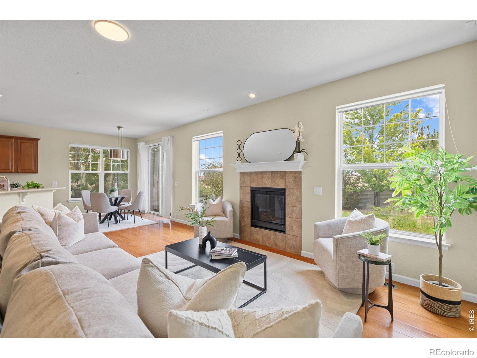 MLS Image #12 for 3541  vestal loop,broomfield, Colorado
