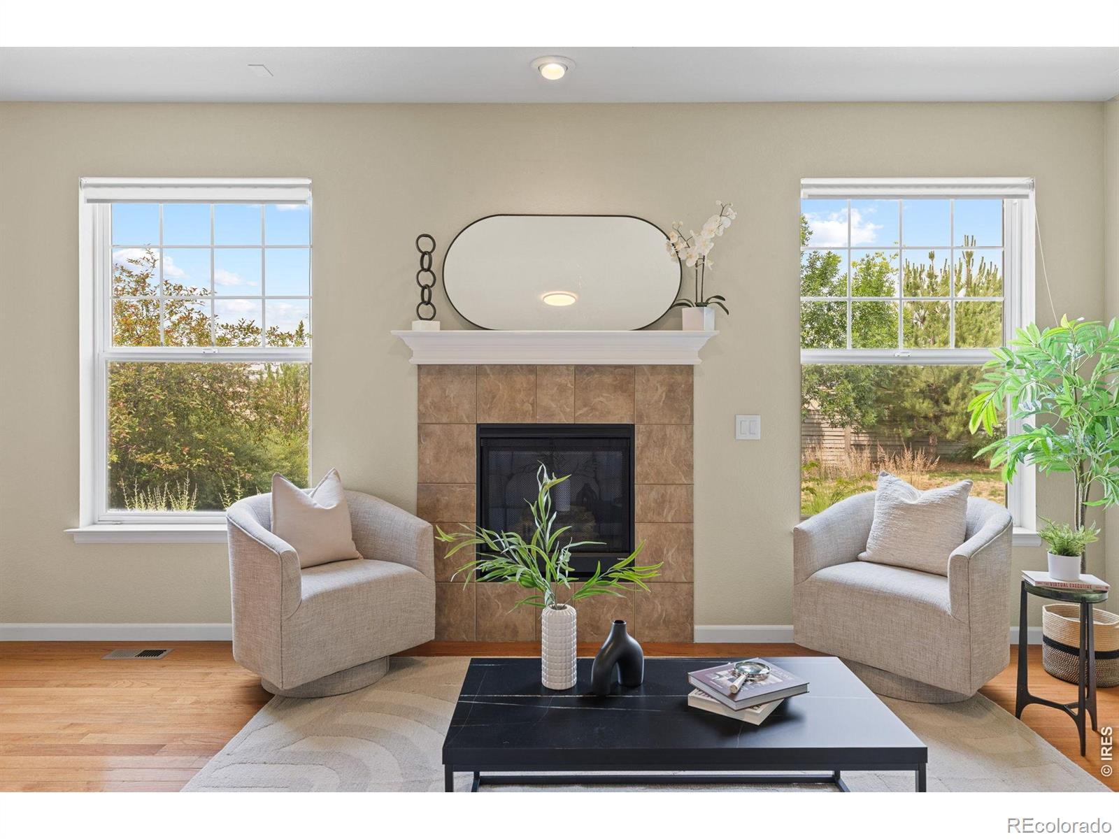 MLS Image #13 for 3541  vestal loop,broomfield, Colorado