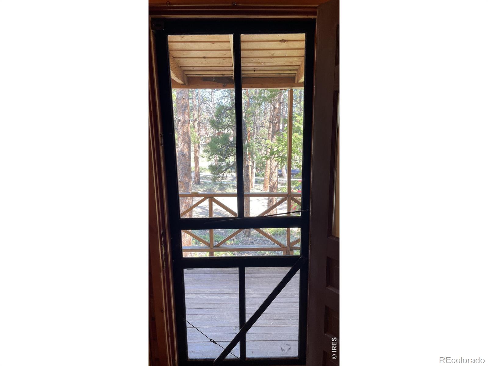 MLS Image #19 for 35  robin path,red feather lakes, Colorado