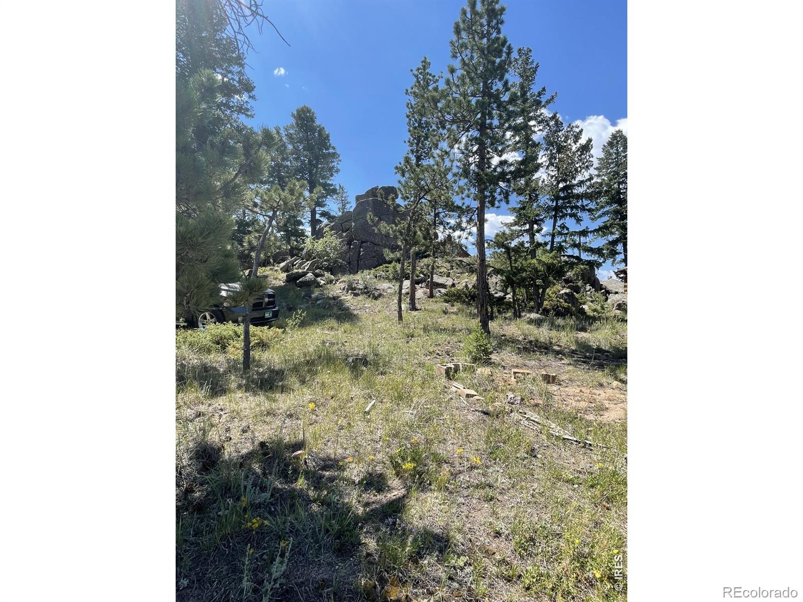 MLS Image #20 for 35  robin path,red feather lakes, Colorado