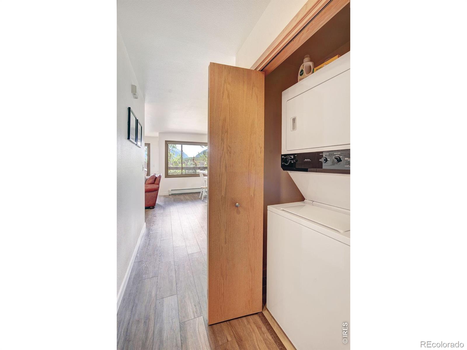 MLS Image #18 for 95600  ryan gulch road,silverthorne, Colorado