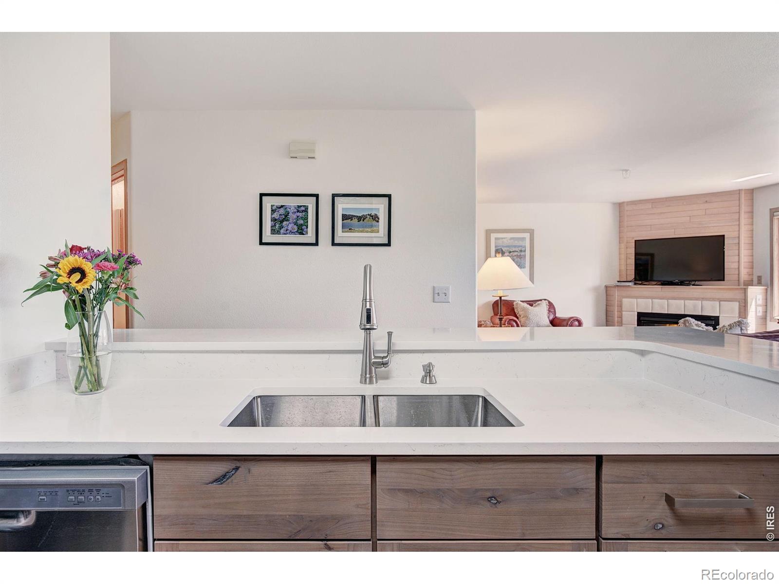 MLS Image #5 for 95600  ryan gulch road,silverthorne, Colorado