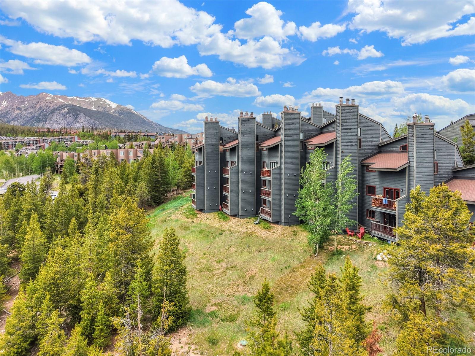 MLS Image #1 for 9460  ryan gulch road,silverthorne, Colorado