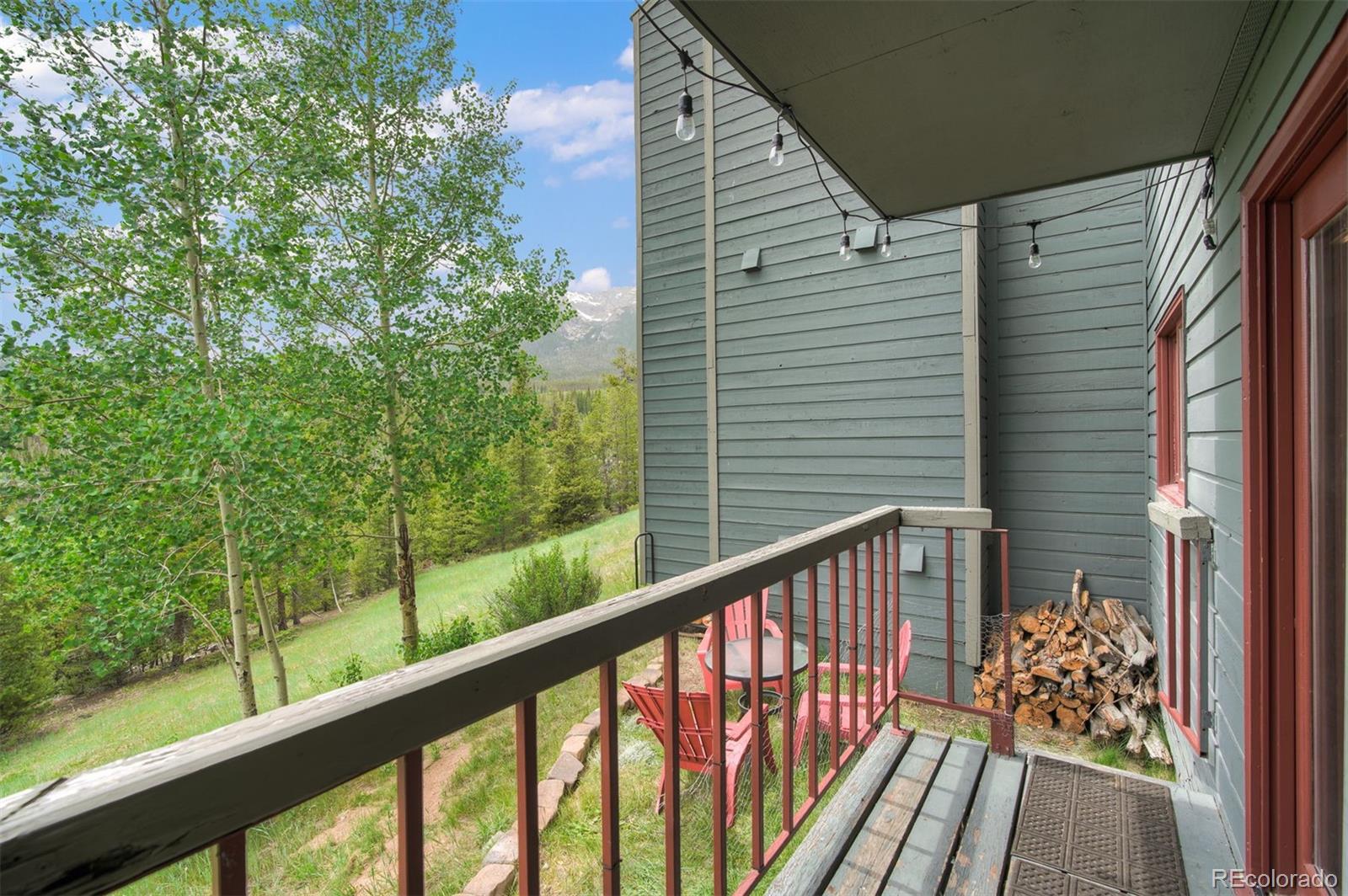 MLS Image #19 for 9460  ryan gulch road,silverthorne, Colorado