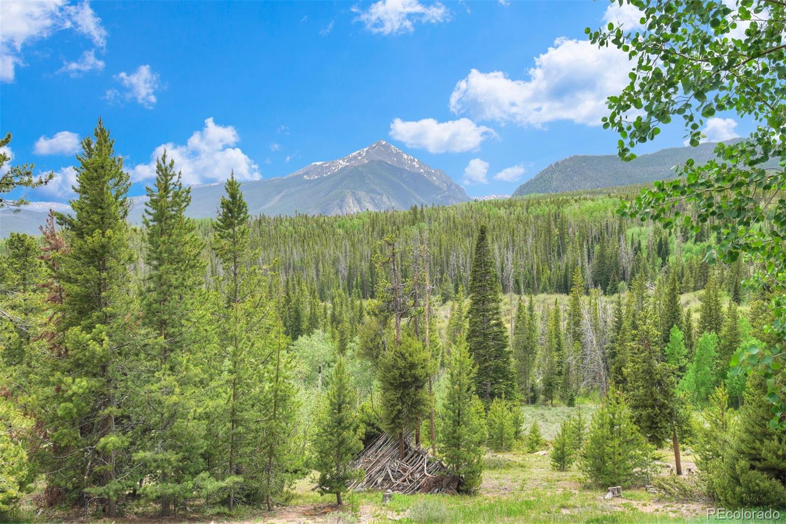 MLS Image #21 for 9460  ryan gulch road,silverthorne, Colorado