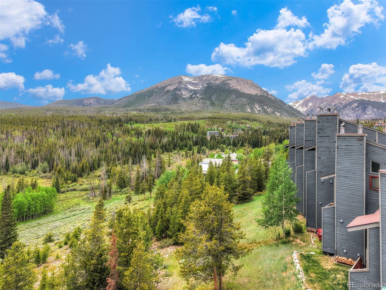 MLS Image #26 for 9460  ryan gulch road,silverthorne, Colorado